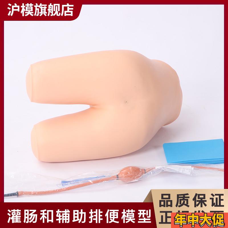 沪模  HM/H35灌肠辅助排便训练模型灌肠练习模具老年排便病人