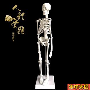 人骨架标本玩具人体骨骼模型45CM 髅骼骨头 人体解剖关节示教模具