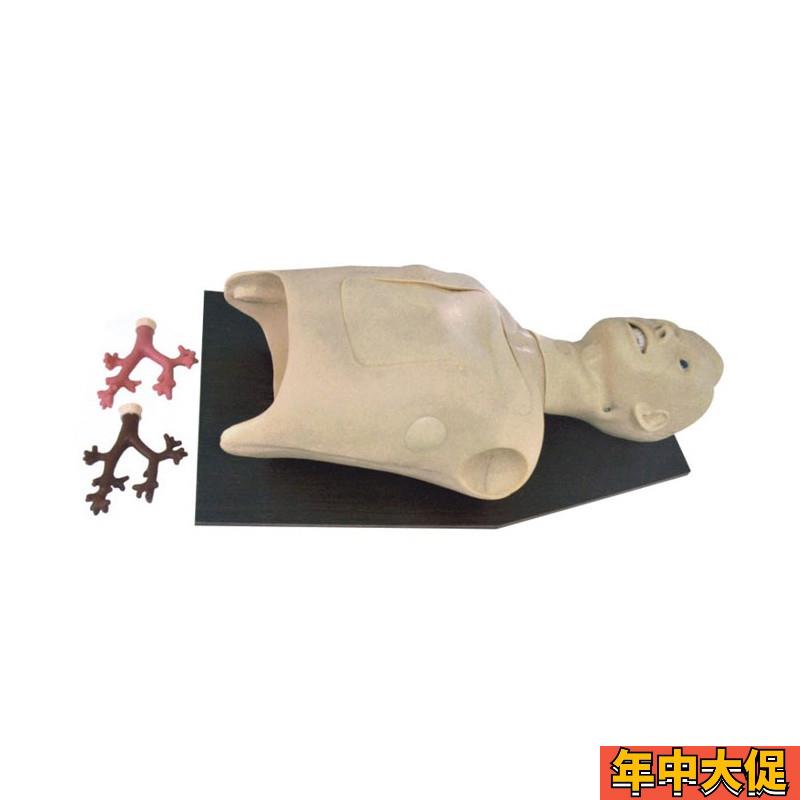 支气管内窥镜检查模型 支气管镜训练模型 内窥镜训练模型