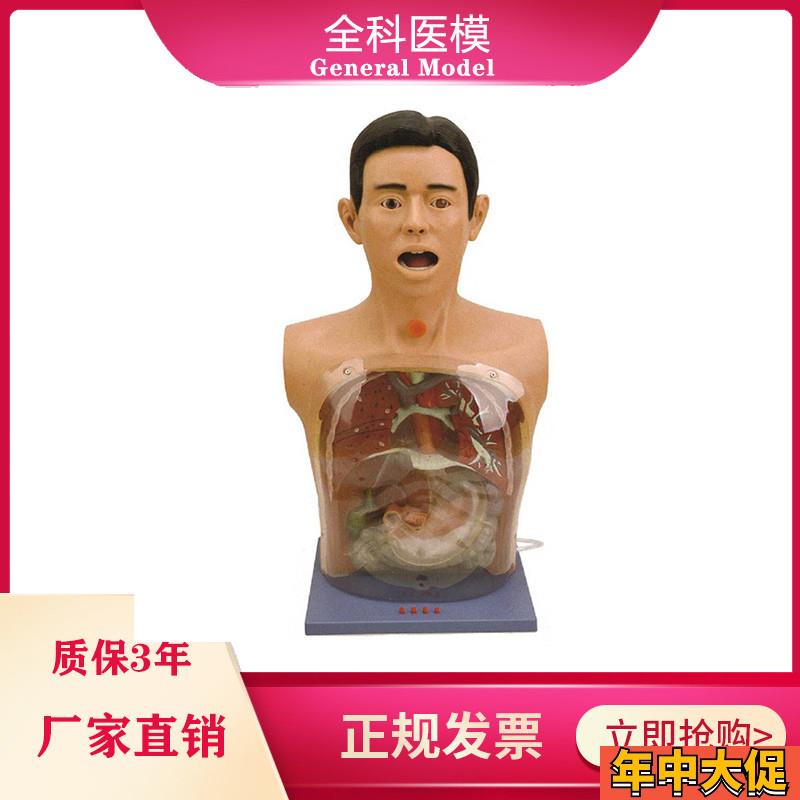 透明洗胃模型带警示医学训练鼻饲气管切开护理插胃管教学模具