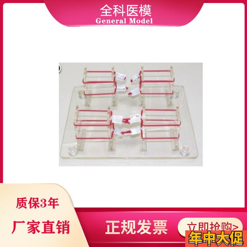 浅表打结技能训练模型外科打结练习模具GM/LV8-2