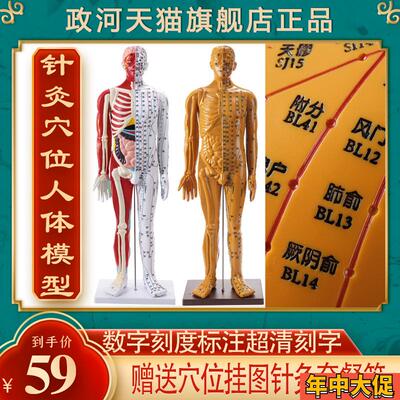 政河针灸穴位人体模型人扎针练习小铜人穴位图全身中医十二小皮人
