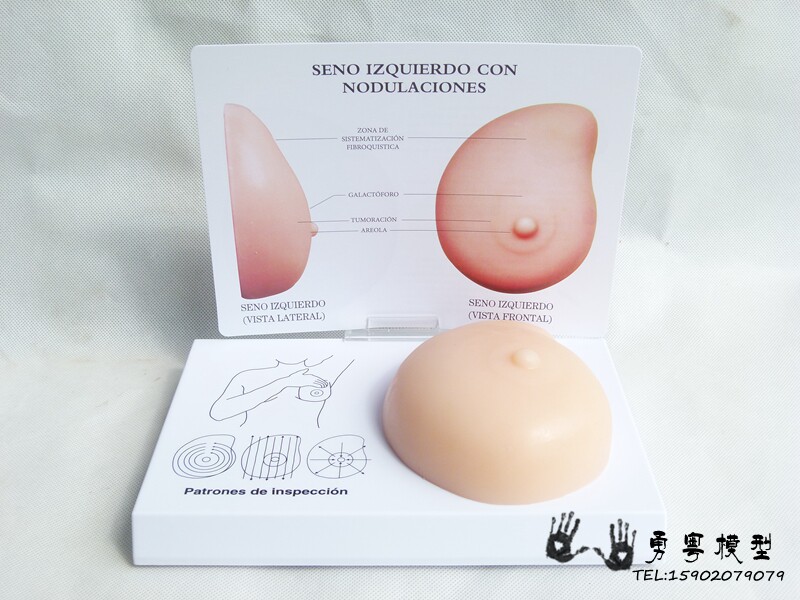 病理乳房模型 乳房自检模型 乳房硬块G软料矽胶计生办医用教学模