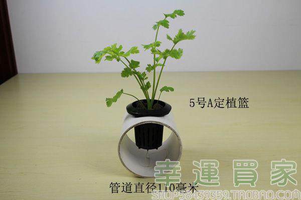 balcony Hydroponics The Conduit Vegetables Planting basket Control Root Fruits and vegetables PE5 Number A deepens 100 individualin the Flower delivery/Flowers simulation/Plants gardening , Gardening supplies , Other Garden Supplies  category - from Buy2taobao.com to provide professional Taobao agent buy service