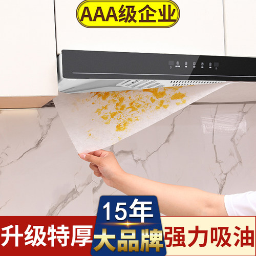 雷光家用过滤网防油罩