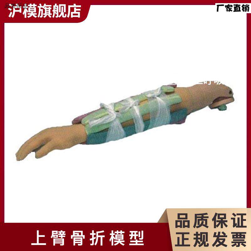 上臂骨折模型可用于复位及小夹板固定训练可y见骨折断端医学教学