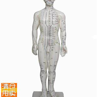 人体针灸模型(男性)高46Gcm人体模型医学模型