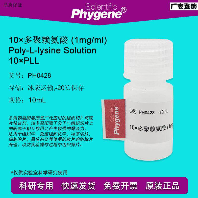 10多聚赖氨酸1mg/mL玻片粘合剂10mL[PH0428PgHYGENE]