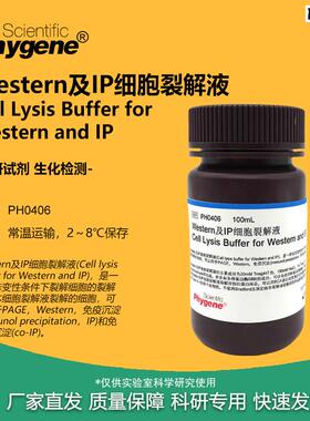 Western及IP细胞裂解液附送PMSF100mL[PBH0406PHYGENE]
