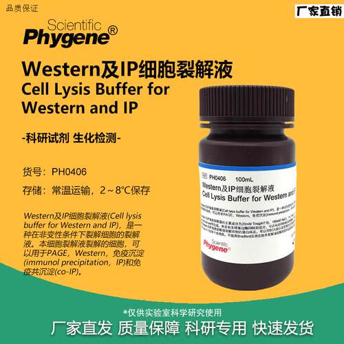 Western及IP细胞裂解液附送PMSF100mL[PBH0406PHYGENE]