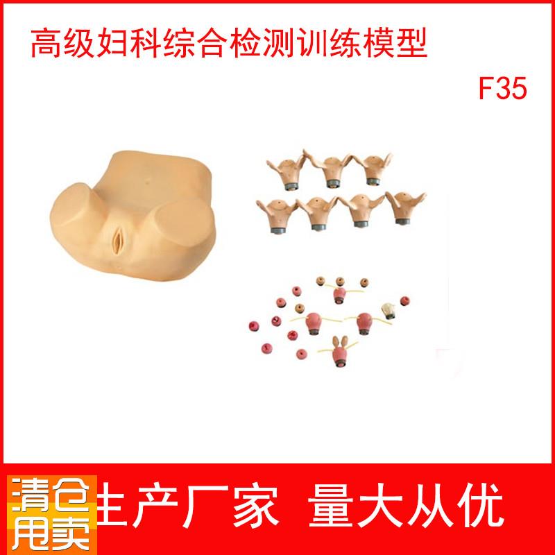 高级妇科综合检测训练模型t腹腔镜检查妇产科教学模型妇婴训练模