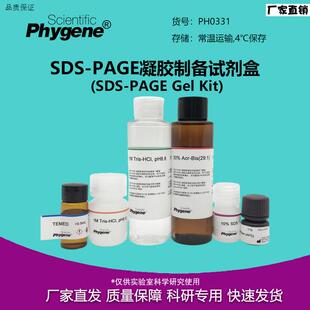 SDS-PAGE凝胶制备试剂盒SDS-PAGE凝胶配制试剂盒PH033I1PHYGENE