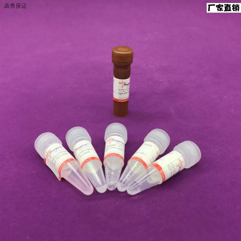 PH1456TUNEL细胞凋亡检测试剂盒(FITC)科P研专用20TPhygene