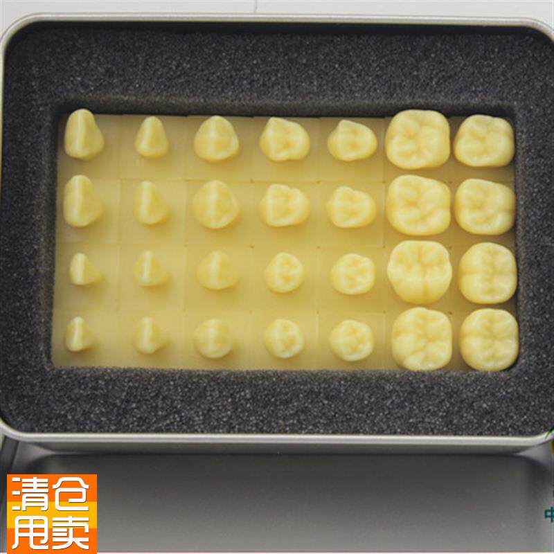 颐诺正品12倍雕牙齿模型口腔齿科教学牙O体解剖雕刻形态模型