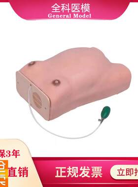 W1高级孕妇检查模型孕妇腹部触诊培G训练习妇科宫内孕妇检查模型