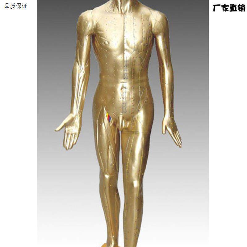 中医标准人体针灸铜人84CM(青铜色)练习假人经w络模具穴位橡皮人
