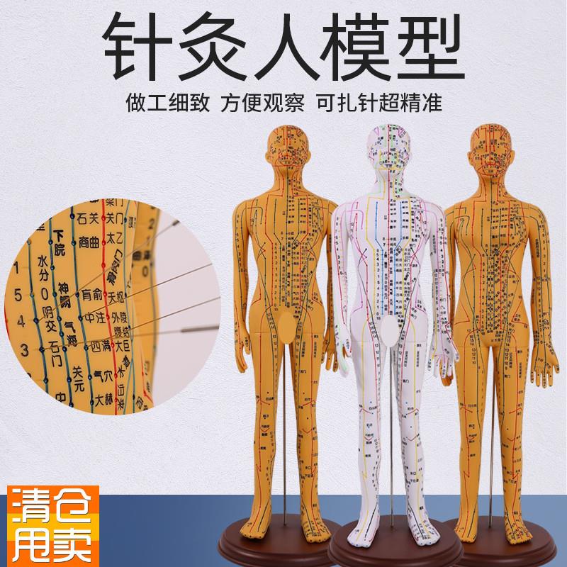 中医针灸穴位模型图全身家用十二经F络人体硅胶模型可扎针小铜皮