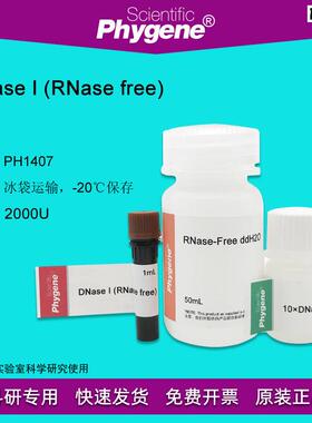 脱氧核糖核酸酶IDNaseaI-RNasefree2000UPH1407PHYGENE