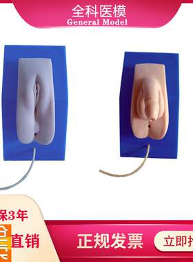 着装式男女性导尿模型男女z内外生殖器导尿医学教学训练模具