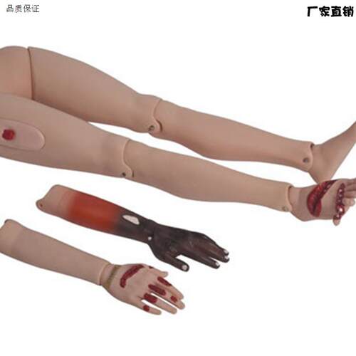 高级创伤四肢模型创伤护理烧伤急Z救模型护理模型男女导尿