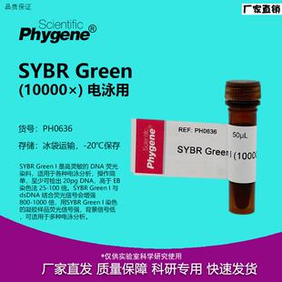 SYBRGreenI(10000)SYBR核酸电泳50uL[PHL0636PHYGENE]