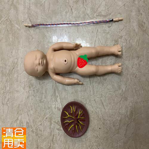 高级新生儿脐带胎Q盘护理模型