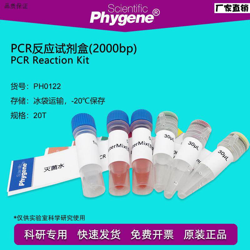 PCR反应试剂盒(2000bp)PCR试剂盒20TPHp0122PHYGENE