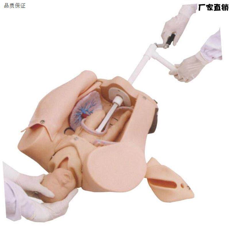 高级手摇分娩机制示教模型肩难产助产T训练模型妇幼保健模具