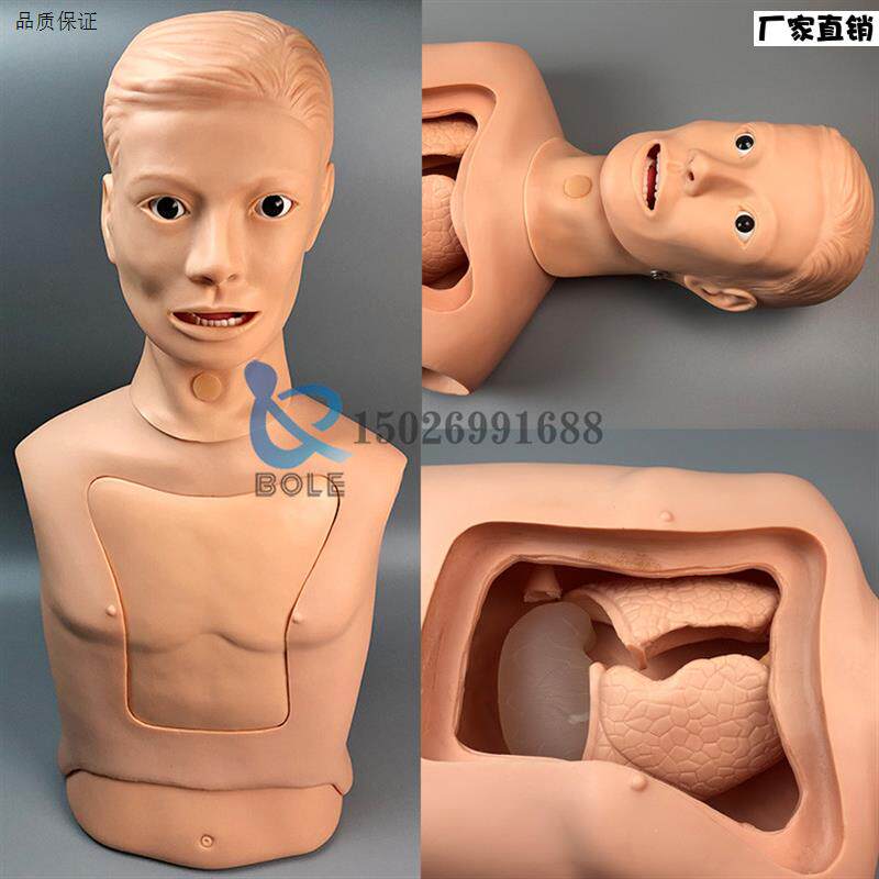 鼻胃管与气管护理模型鼻饲管模具切开吸痰训练气p管插管洗胃插胃