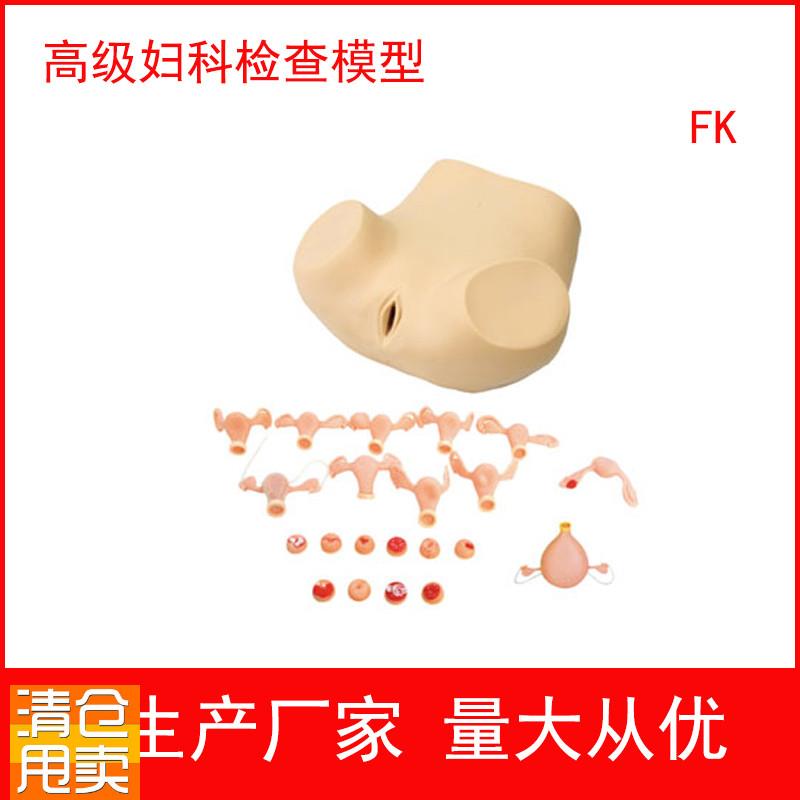 妇科训练模型妇科m检查模型妇婴训练模型护理模型妇产科培训用