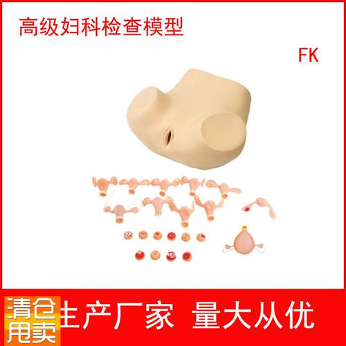 妇科训练模型妇科m检查模型妇婴训练模型护理模型妇产科培训用