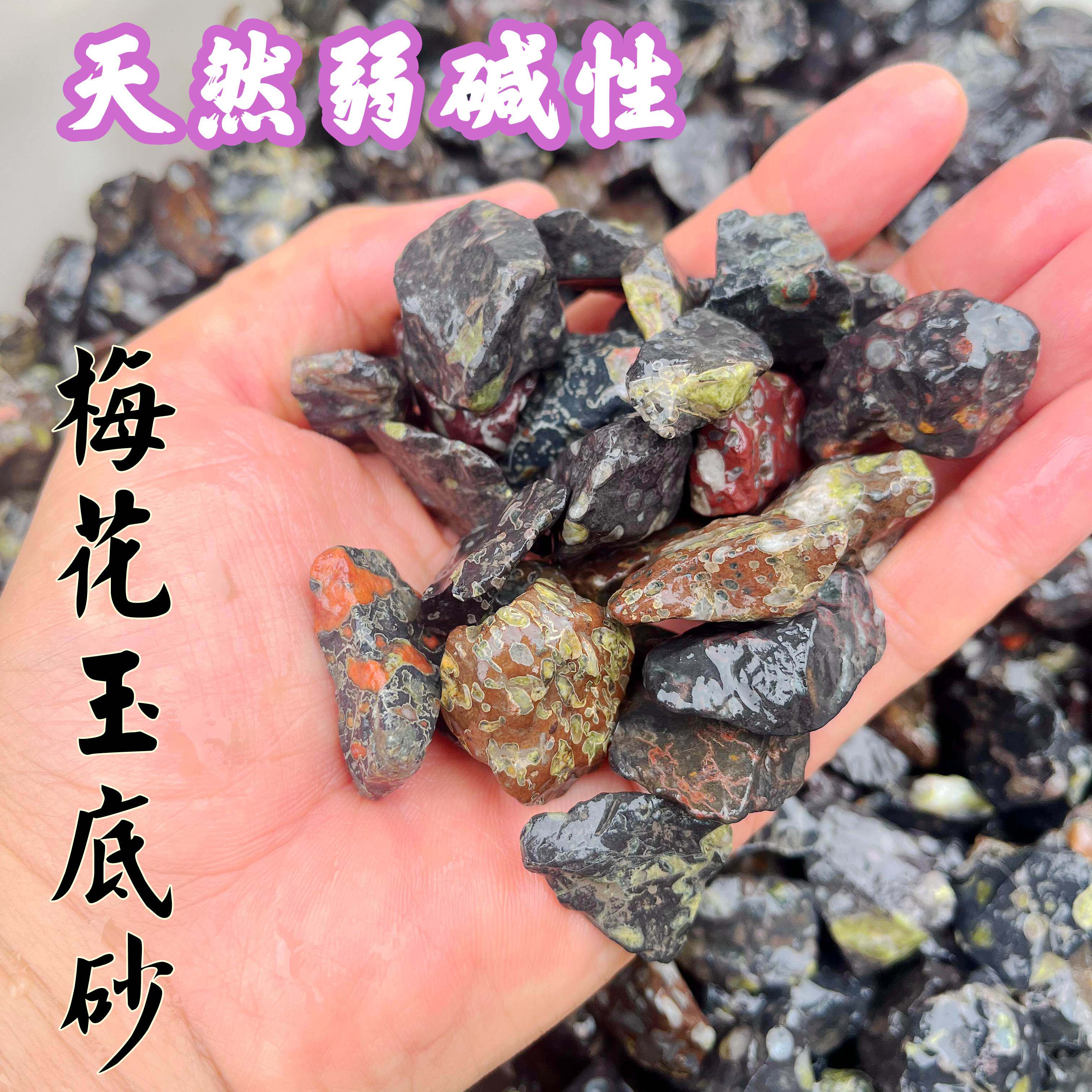 净水底砂梅花玉弱碱性天然