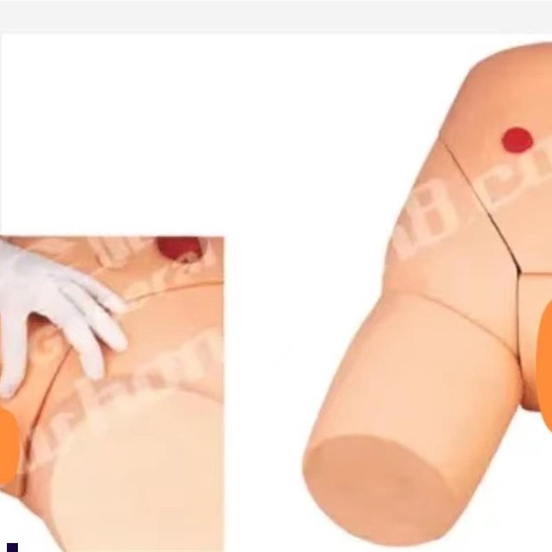 高级女性导尿模型GPD/H17F