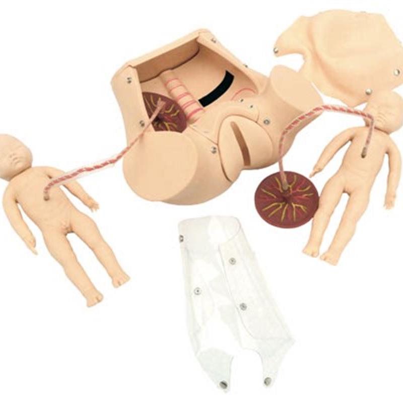 高级分娩综合技能训练模型JIY/F20佳悦科教通