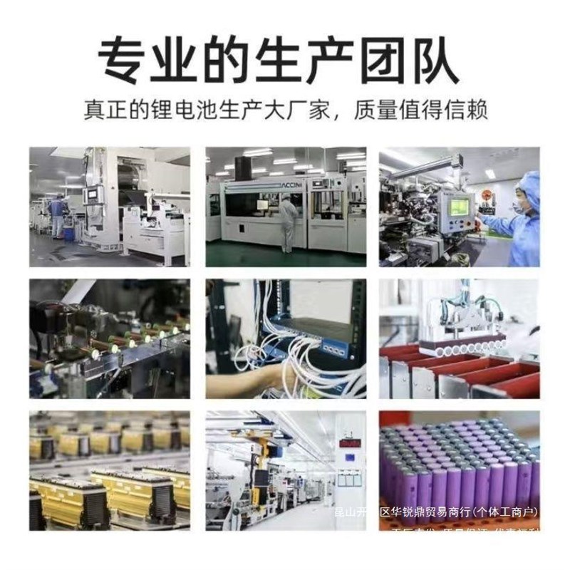 代驾车48v锂电池电动车10AH1h银鱼海霸通用款送充电器Y