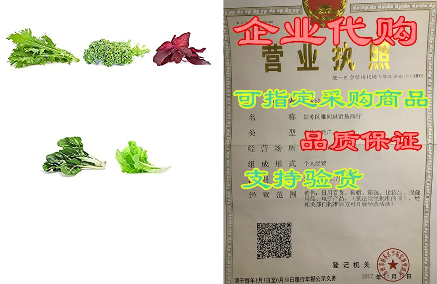 environet vegetable seeds collection - 5 delicious vegeta