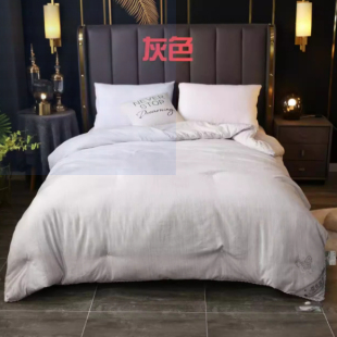 轻奢花边春秋被子保暖冬被亲肤夏被双人婚假单人宿舍四季 被芯