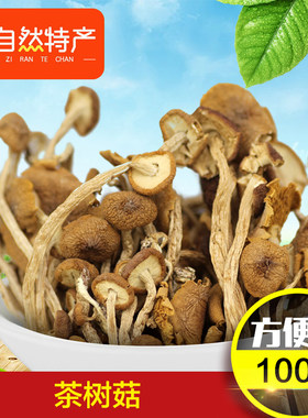 新货上市农家茶树菇干货茶薪菇