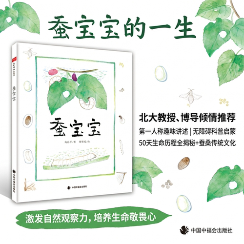 蚕宝宝精装绘本图画书