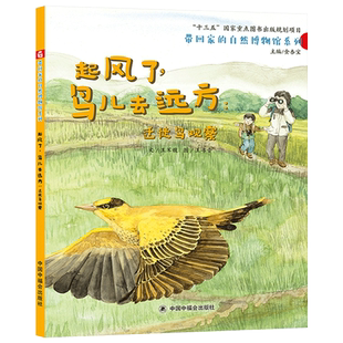 起风了鸟儿去远方迁徙鸟观察精装绘本中国原创图画书亲子之旅观察鸟类品味自然野趣带回家的自然博物馆系列单本3-6-8岁阅读正版