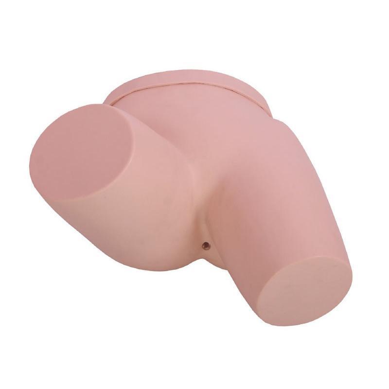 灌肠训练模型灌肠操作实习模型S成人灌肠模型