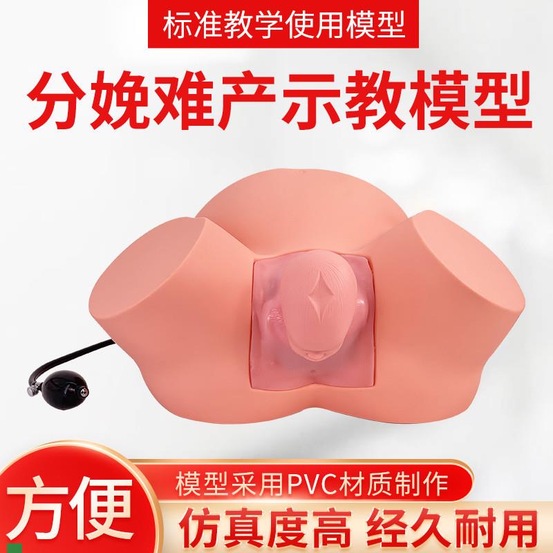 孕妇难产示教模型分m娩教学模具难产助产示教训练生产分娩演示肩