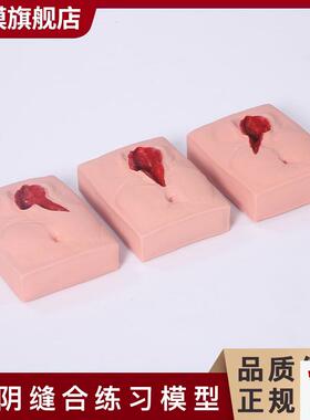沪模HM/F31g外阴缝合练习模型会阴缝合训练习模型产科练习演示模