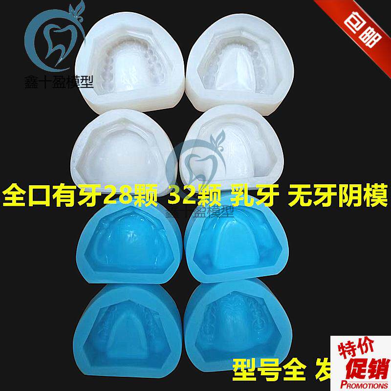 牙科有牙阴模无牙颌阴q模排牙基托模具制标准石膏牙列牙齿模型