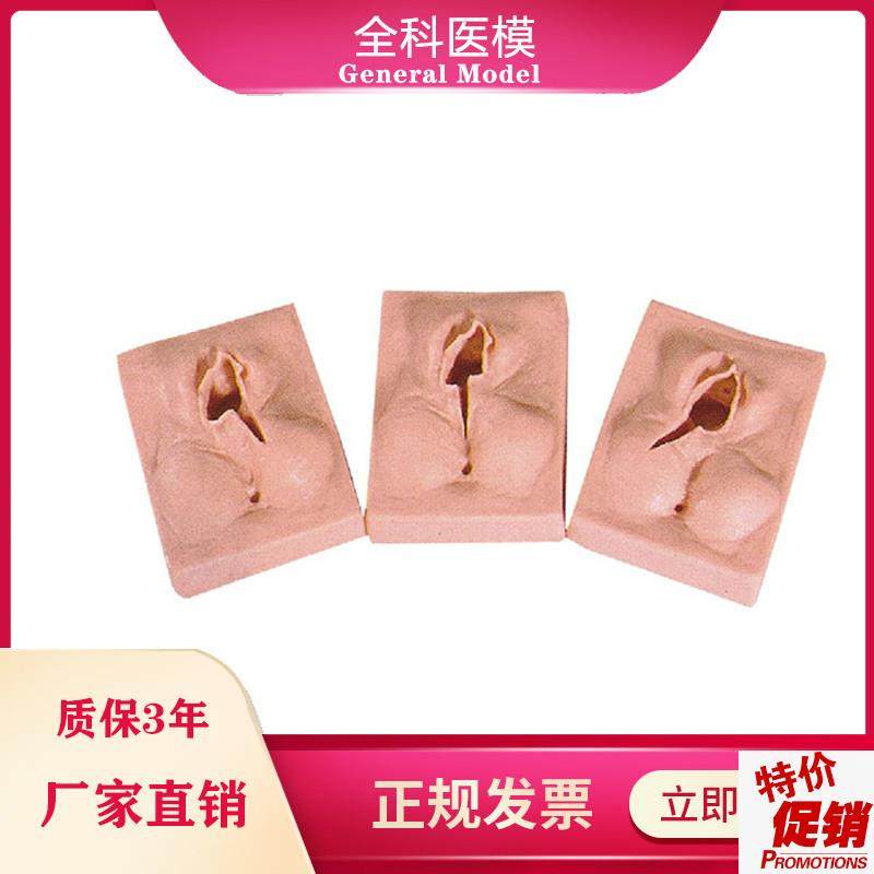 外阴缝合练习模型外阴切开切x口模具生殖会阴侧切缝合手术练习模