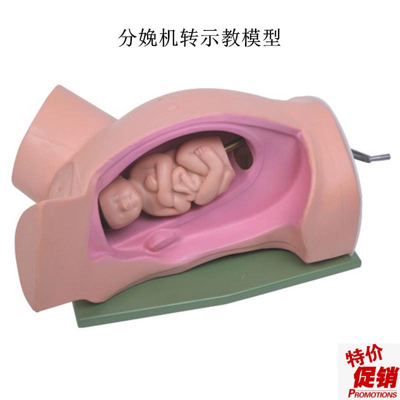 高级分娩机转示教模型妇幼产科胎儿接生助产N演示过程难产护理模