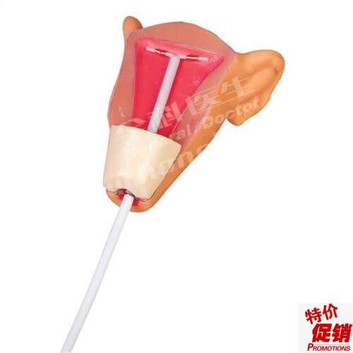 高级宫内避孕器训练模N型GD/F9E