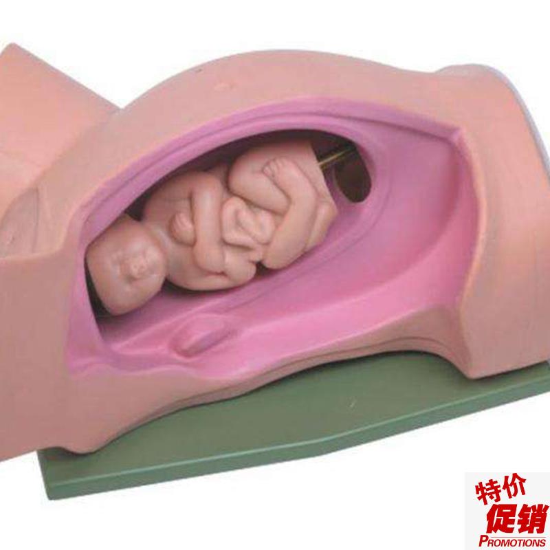 孕妇分娩机转示教u教学训练模型妇产科练习模具