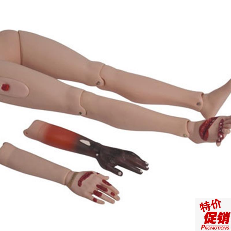 高级创伤护理训练四肢模型模块上肢下肢N包扎伤口处理练习模具