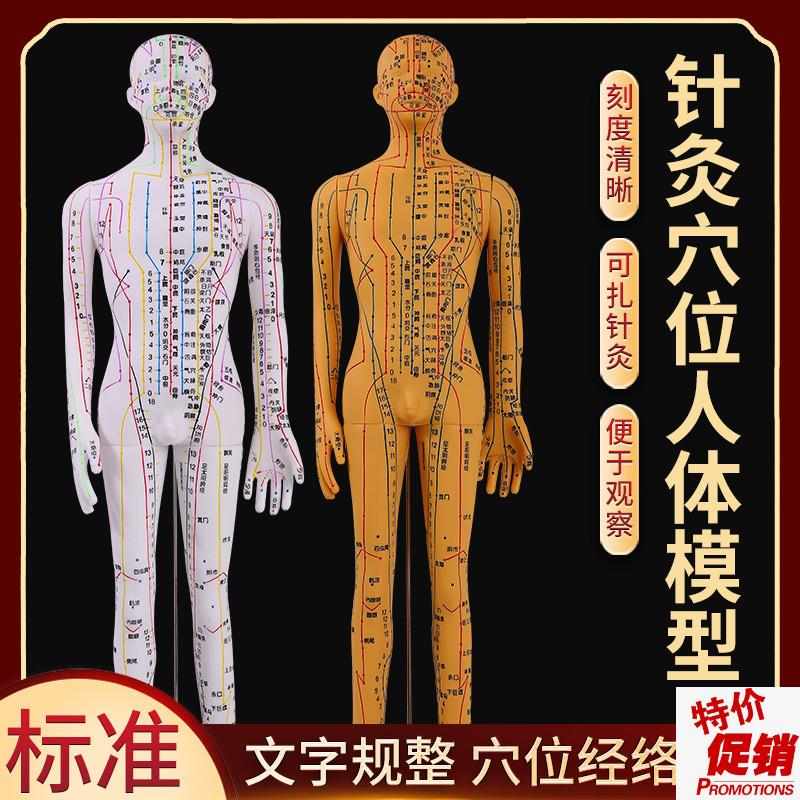 全铜色人体针灸模型人经络穴位中医全身十二铜人模特X图可扎针练